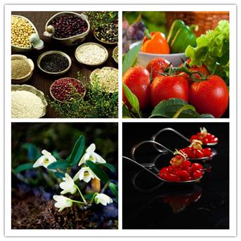 中國有機食品展9月廣州舉行 數萬優質買家云集(圖2) 中國有機食品展9月廣州舉行 數萬優質買家云集(圖2)